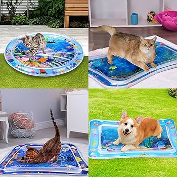 Cama de agua sensorial para mascotas gratis curso en adiestramiento canino💧😺