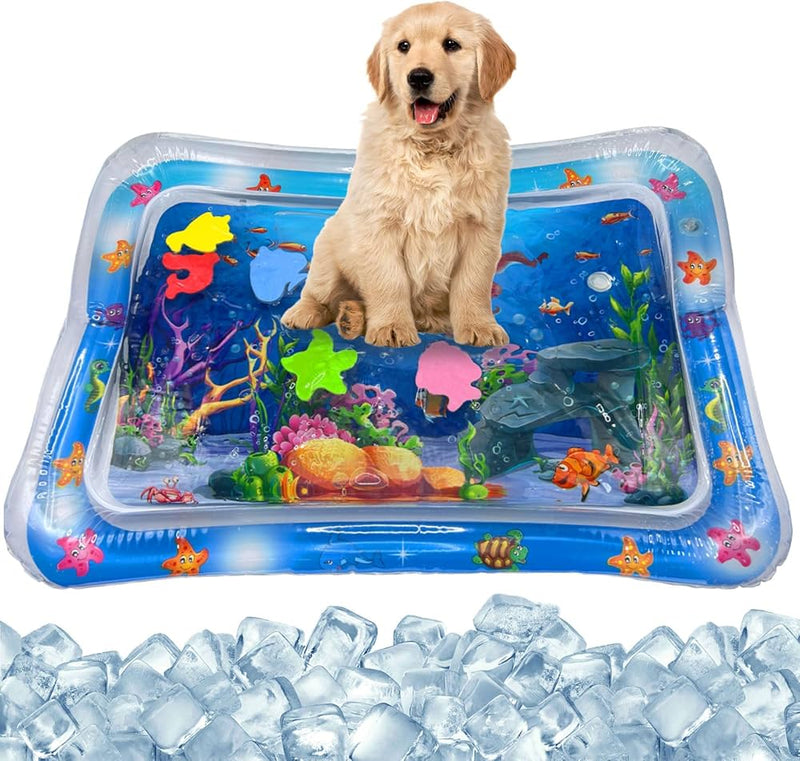 Cama de agua sensorial para mascotas gratis curso en adiestramiento canino💧😺