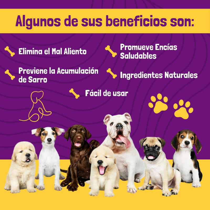 Spray Enjuegue Bucal para Mascotas🔥Apto para perros y gatos de cualquier edad